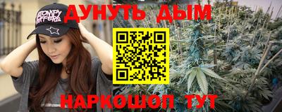 гашик Жуковский