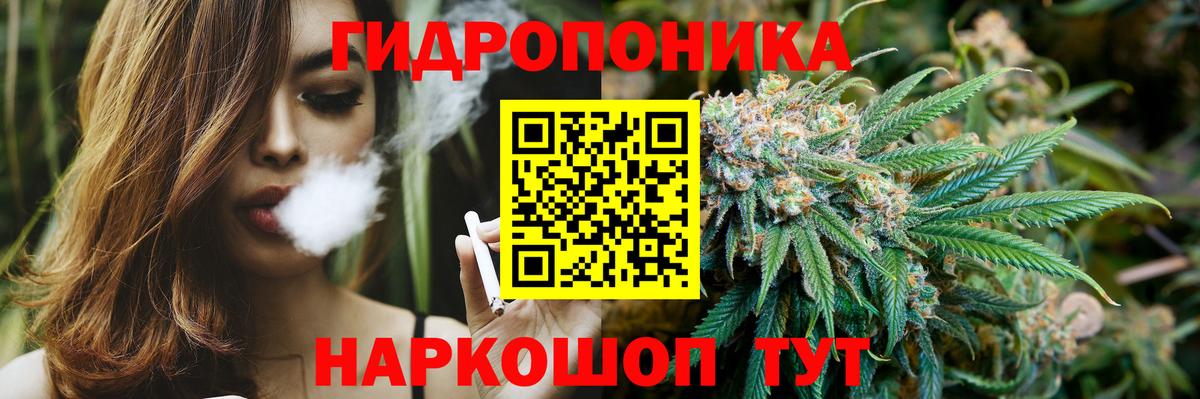 Шишки марихуана VHQ Красный Сулин